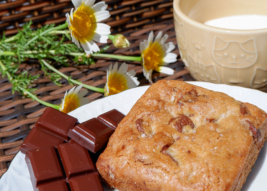 bolacha pedaços chocolate